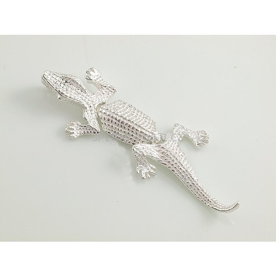 Stříbrný přívěsek Krokodýl.
P1012575.jpg